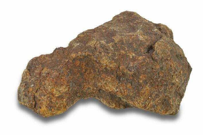 Gold Basin Chondrite Meteorite ( g) - Arizona #282848